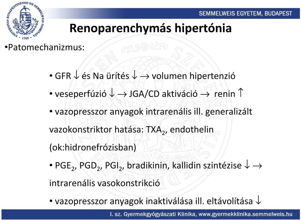 generalizált vazokonstriktor hatása: TXA 2, endothelin (ok:hidronefrózisban) PGE 2, PGD 2,