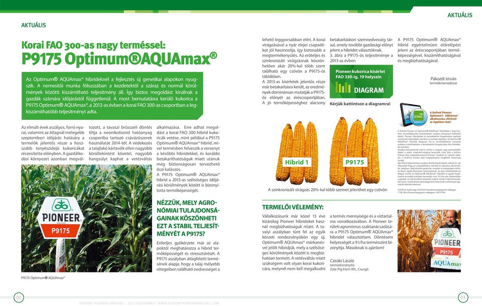 A most bemutatásra kerülő kukorica a P9175 Optimum AQUAmax, a 2013-as évben a korai FAO 300-as csoportban a legkiszámíthatóbb teljesítményt adta.