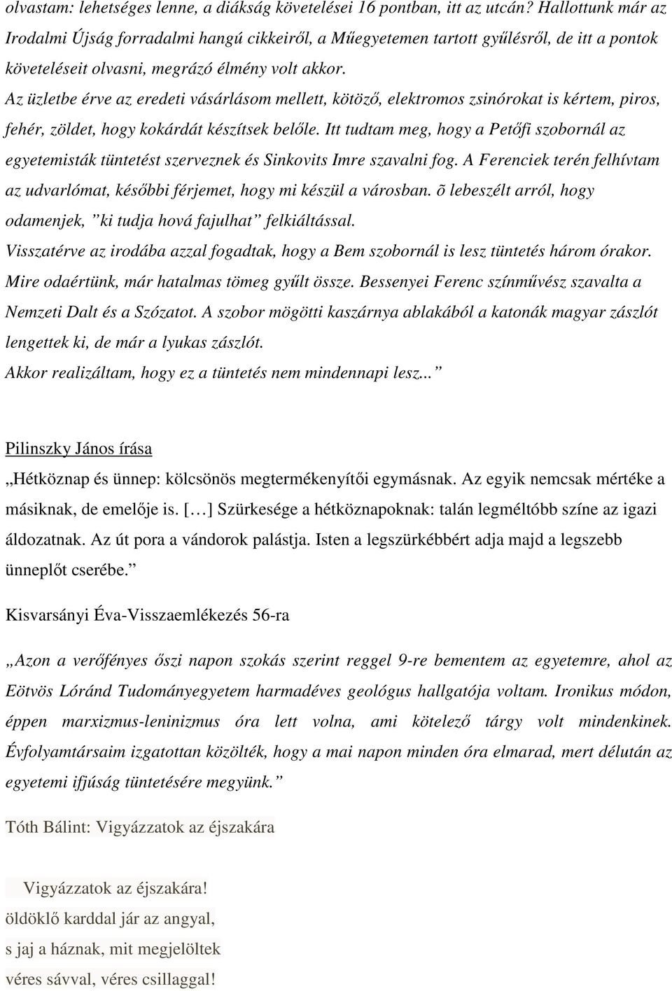 Az üzletbe érve az eredeti vásárlásom mellett, kötöző, elektromos zsinórokat is kértem, piros, fehér, zöldet, hogy kokárdát készítsek belőle.