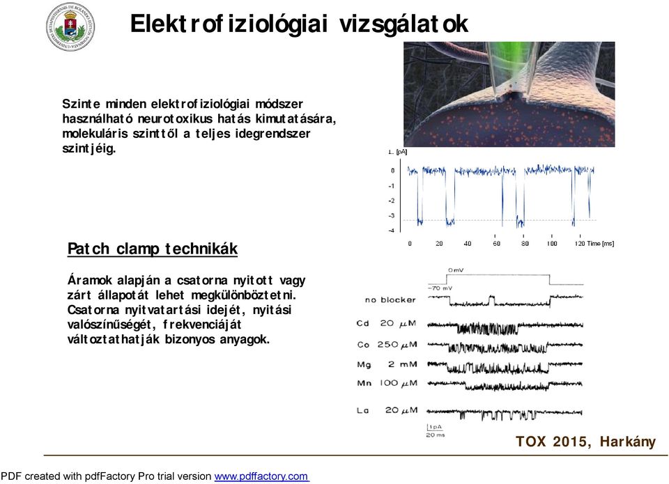 Patch clamp technikák Áramok alapján a csatorna nyitott vagy zárt állapotát lehet