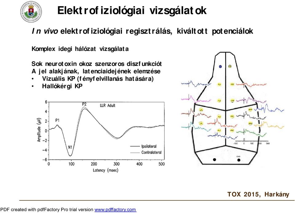 vizsgálata Sok neurotoxin okoz szenzoros diszfunkciót A jel