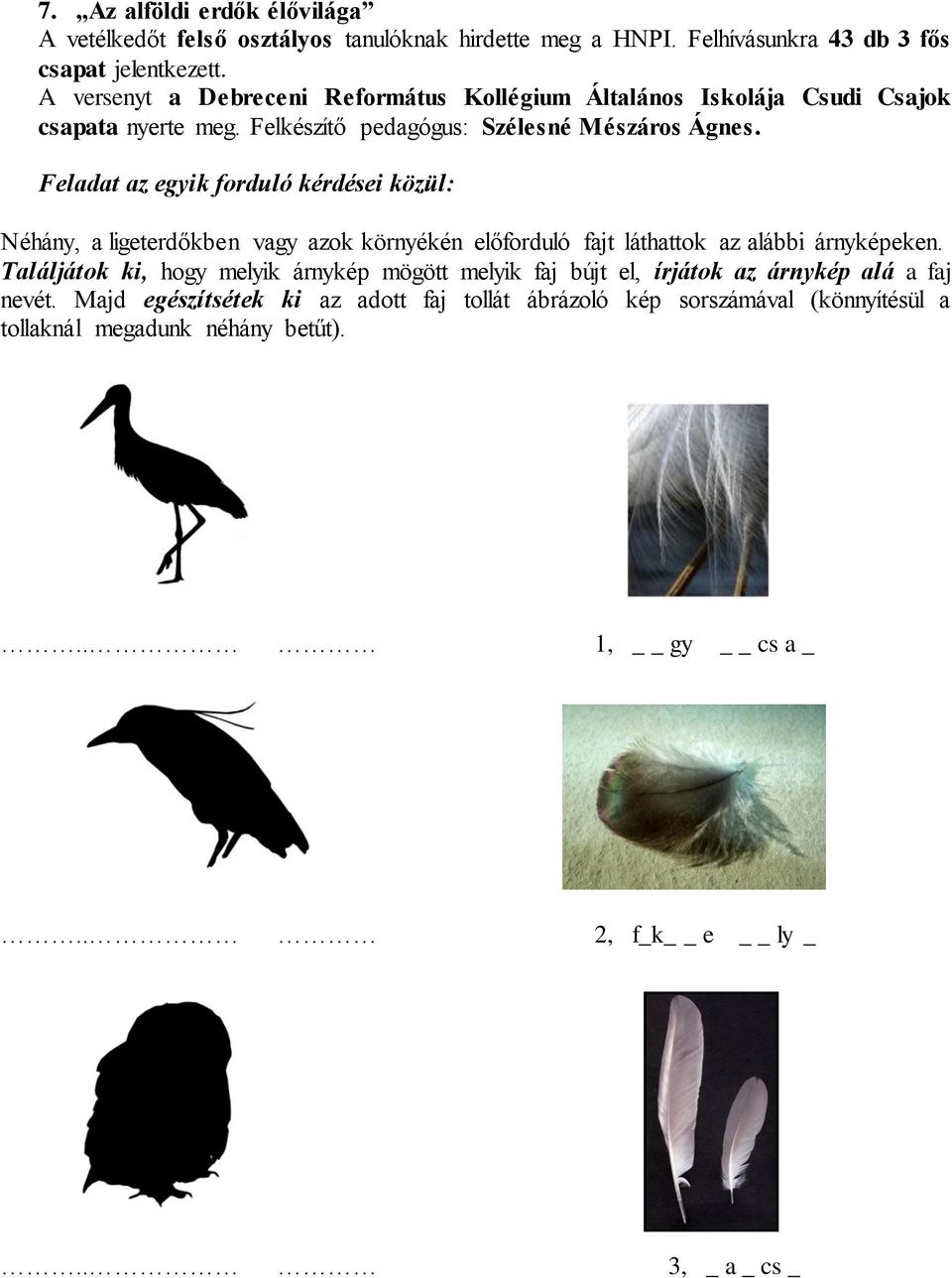 Feladat az egyik forduló kérdései közül: Néhány, a ligeterdőkben vagy azok környékén előforduló fajt láthattok az alábbi árnyképeken.