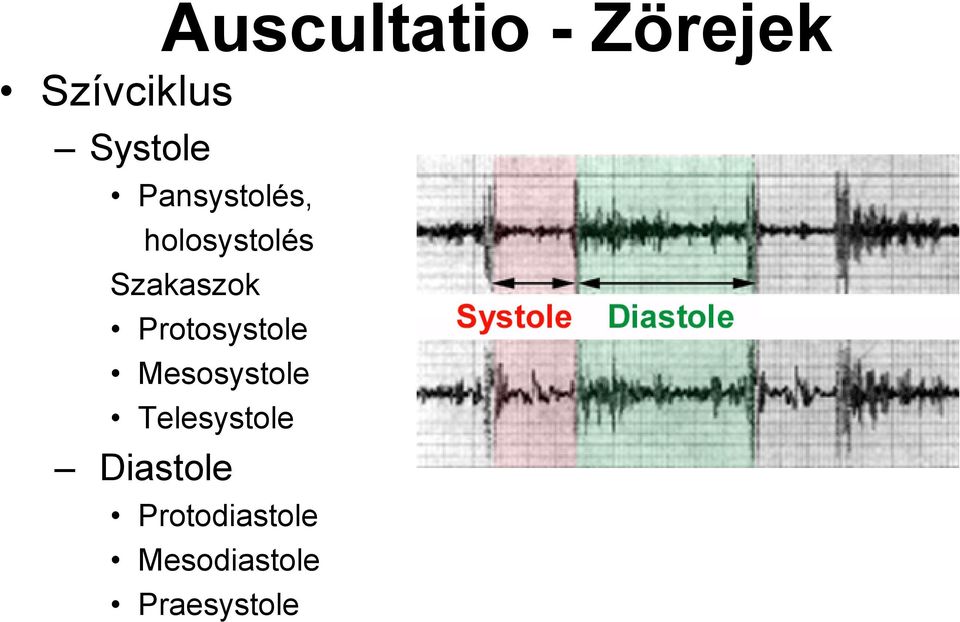 Protosystole Mesosystole Telesystole