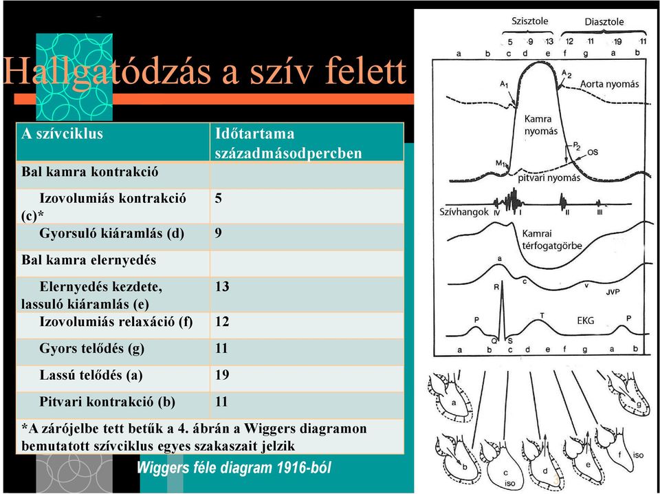 telıdés (g) 11 Lassú telıdés (a) 19 Pitvari kontrakció (b) 11 Idıtartama századmásodpercben *A zárójelbe tett