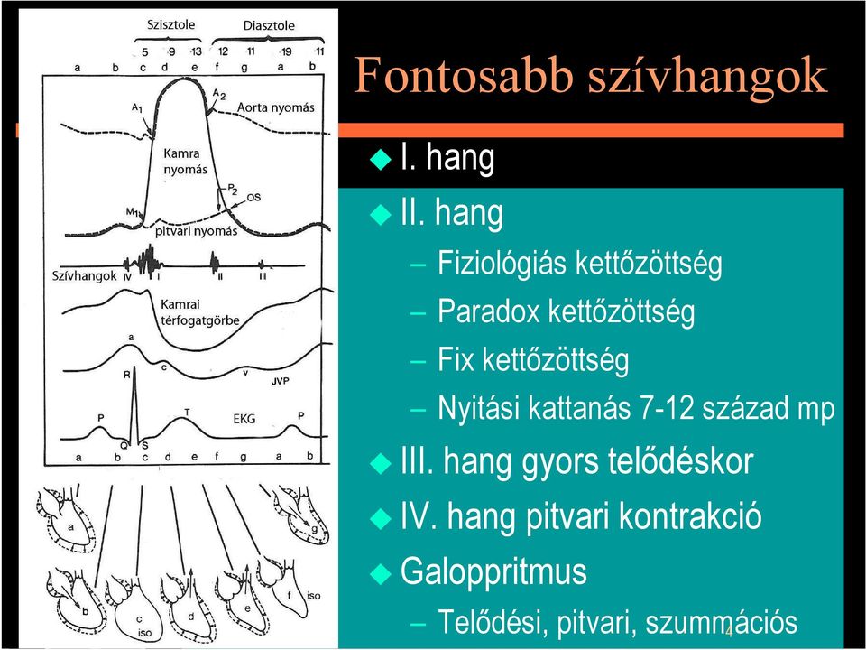 kettızöttség Nyitási kattanás 7-12 század mp III.