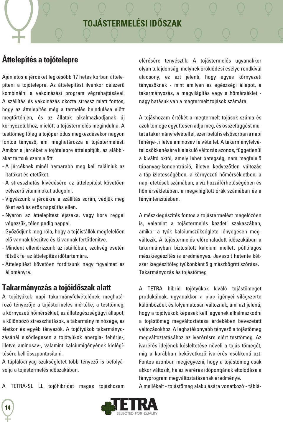 A szállítás és vakcinázás okozta stressz miatt fontos, hogy az áttelepítés még a termelés beindulása előtt megtörténjen, és az állatok alkalmazkodjanak új környezetükhöz, mielőtt a tojástermelés