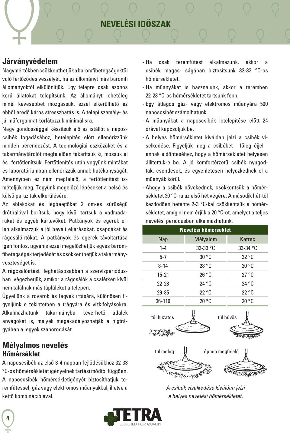 A telepi személy- és járműforgalmat korlátozzuk minimálisra. Nagy gondossággal készítsük elő az istállót a naposcsibék fogadásához, betelepítés előtt ellenőrizzünk minden berendezést.