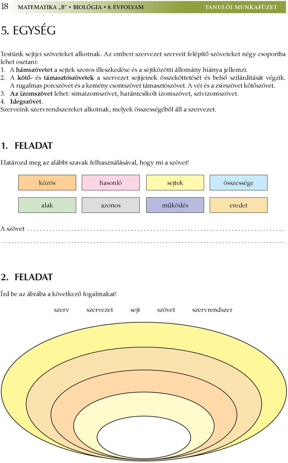 A rugalmas porcszövet és a kemény csontszövet támasztószövet. A vér és a zsírszövet kötőszövet. 3. Az izomszövet lehet: simaizomszövet, harántcsíkolt izomszövet, szívizomszövet. 4. Idegszövet.