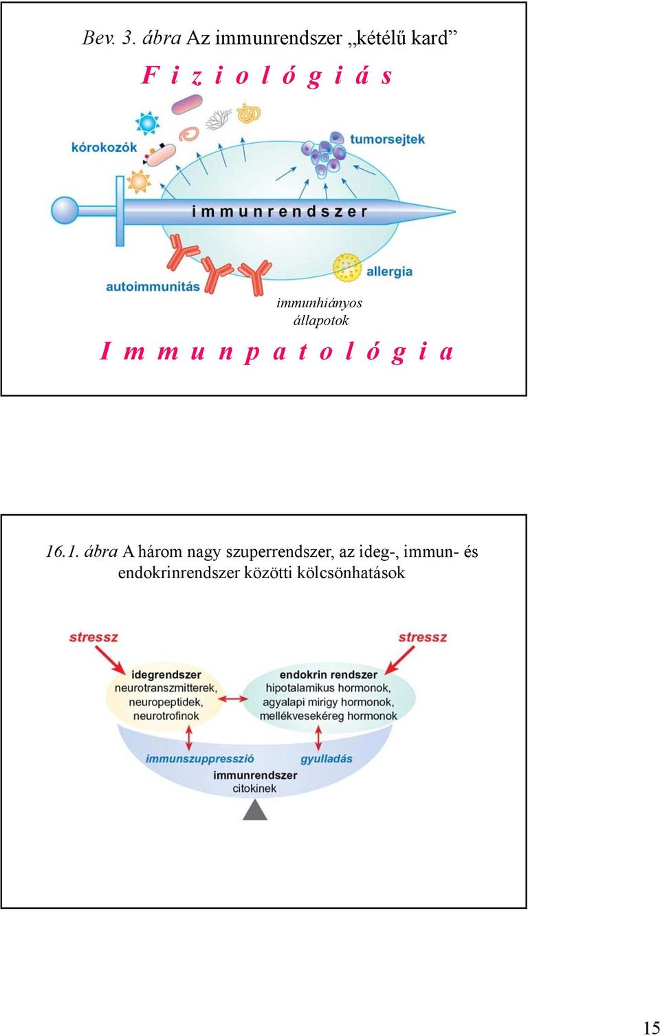 s immunhiányos állapotok I m m u n p a t o l ó g i a