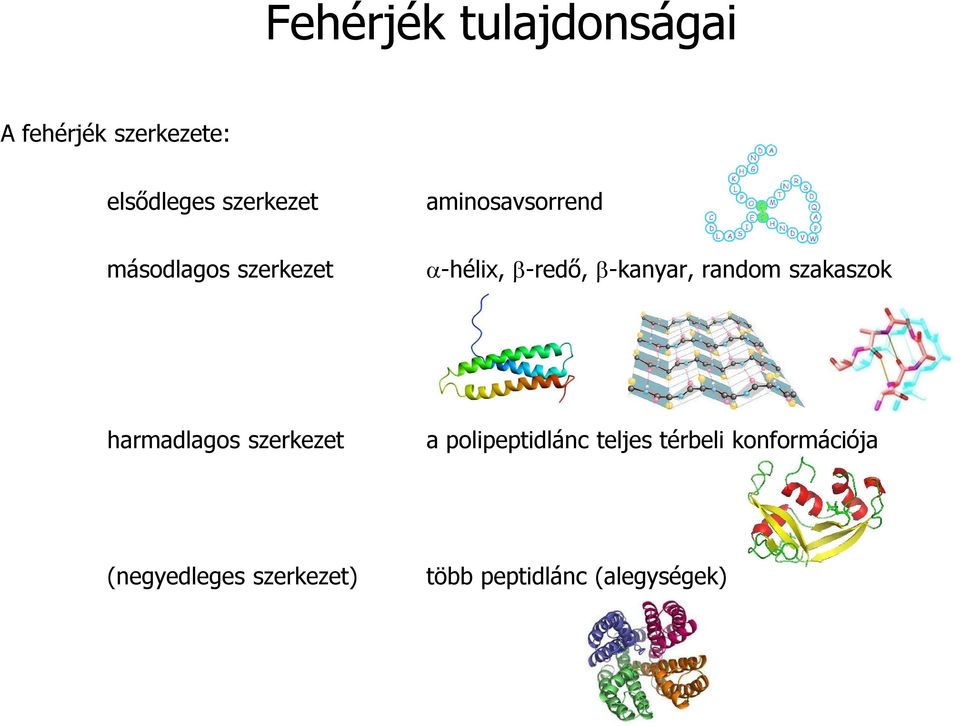 random szakaszok harmadlagos szerkezet a polipeptidlánc teljes