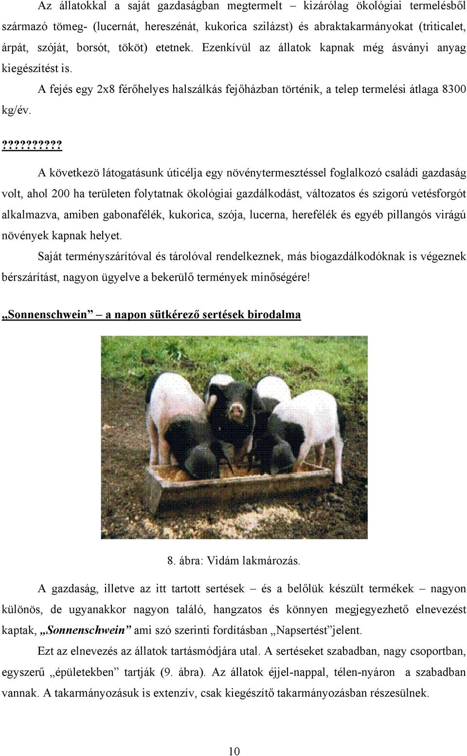 ?????????? A következö látogatásunk úticélja egy növénytermesztéssel foglalkozó családi gazdaság volt, ahol 200 ha területen folytatnak ökológiai gazdálkodást, változatos és szigorú vetésforgót