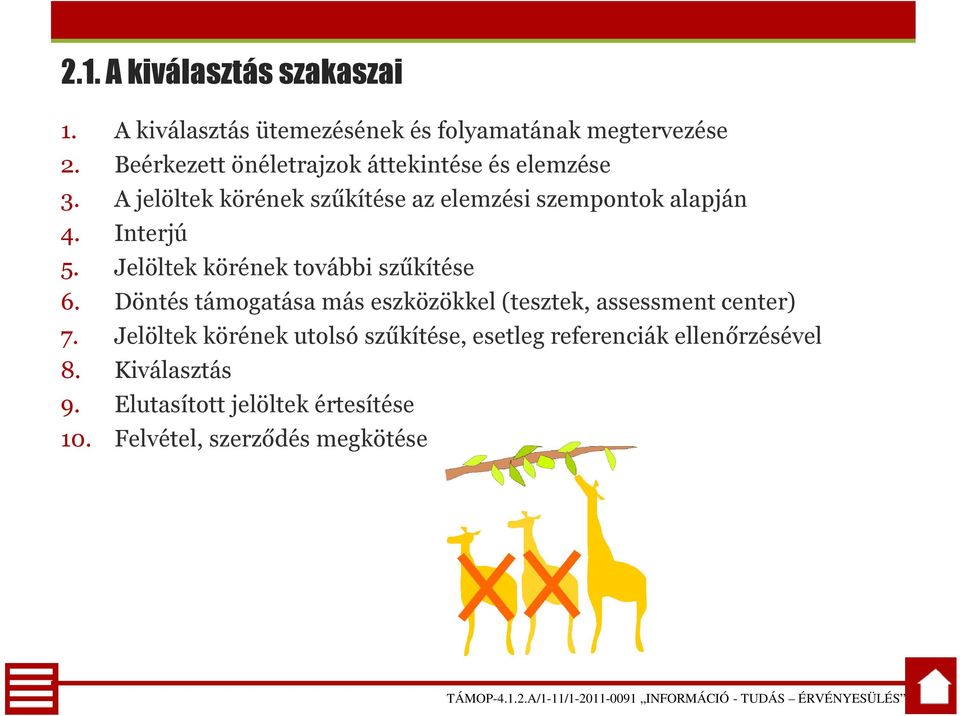 Interjú 5. Jelöltek körének további szűkítése 6. Döntés támogatása más eszközökkel (tesztek, assessment center) 7.