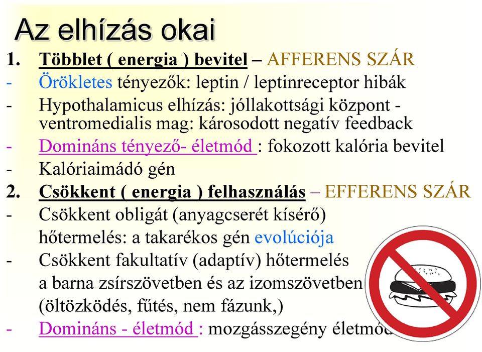 ventromedialis mag: károsodott negatív feedback - Domináns tényező- életmód : fokozott kalória bevitel - Kalóriaimádó gén 2.