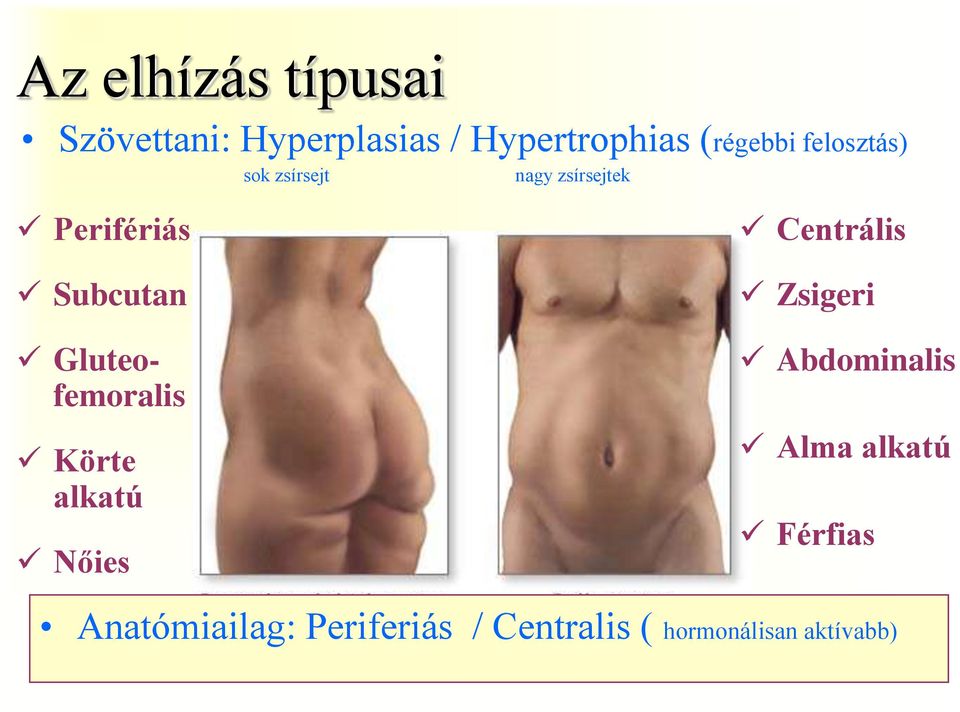 Gluteofemoralis Körte alkatú Nőies Centrális Zsigeri Abdominalis