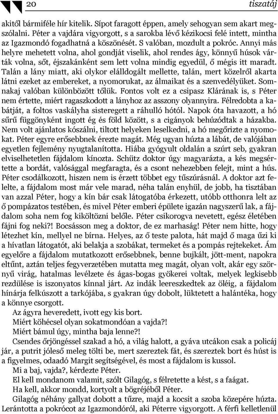 Annyi más helyre mehetett volna, ahol gondját viselik, ahol rendes ágy, könnyű húsok várták volna, sőt, éjszakánként sem lett volna mindig egyedül, ő mégis itt maradt.