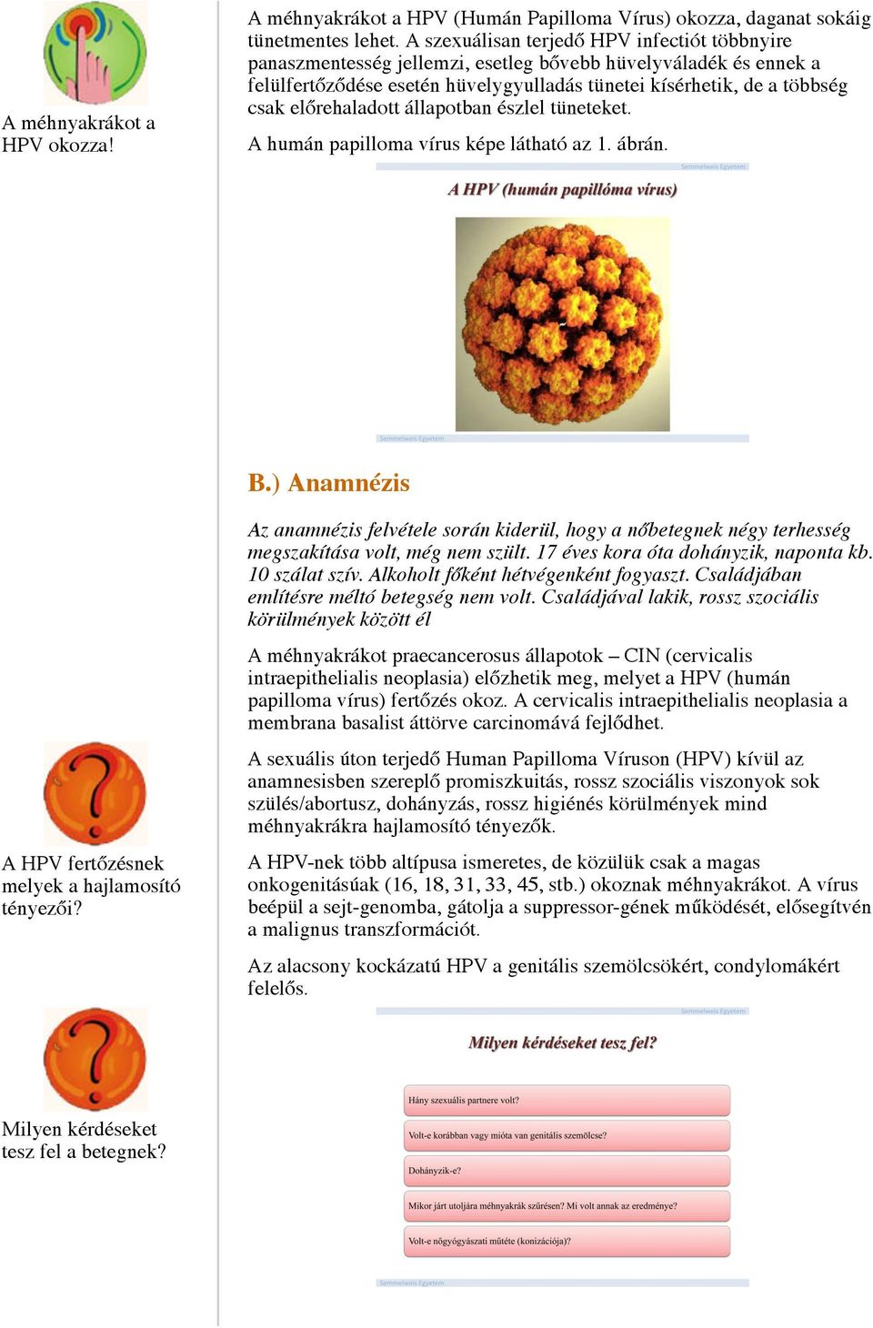 előrehaladott állapotban észlel tüneteket. A humán papilloma vírus képe látható az 1. ábrán. B.) Anamnézis A HPV fertőzésnek melyek a hajlamosító tényezői?