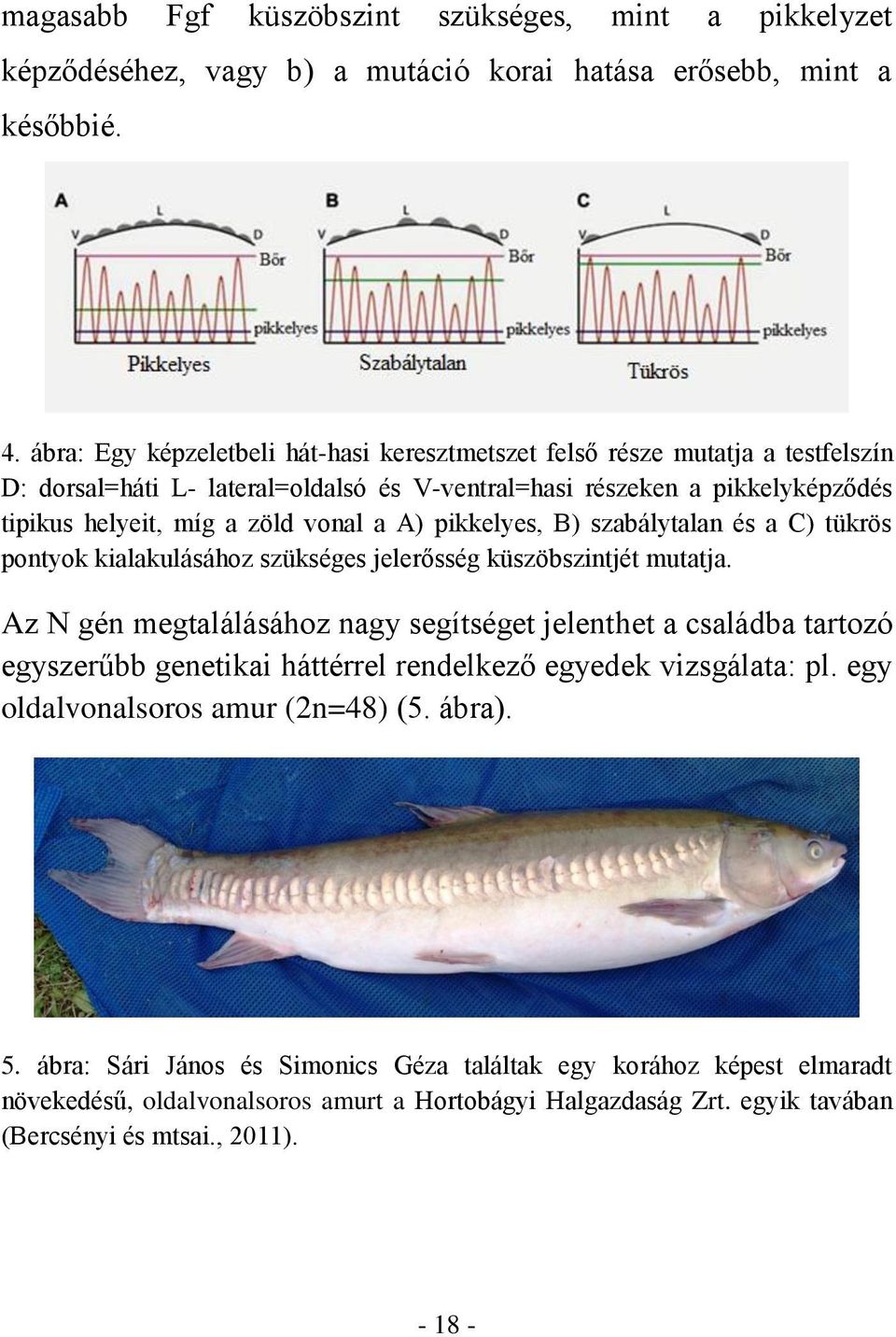 pikkelyes, B) szabálytalan és a C) tükrös pontyok kialakulásához szükséges jelerősség küszöbszintjét mutatja.