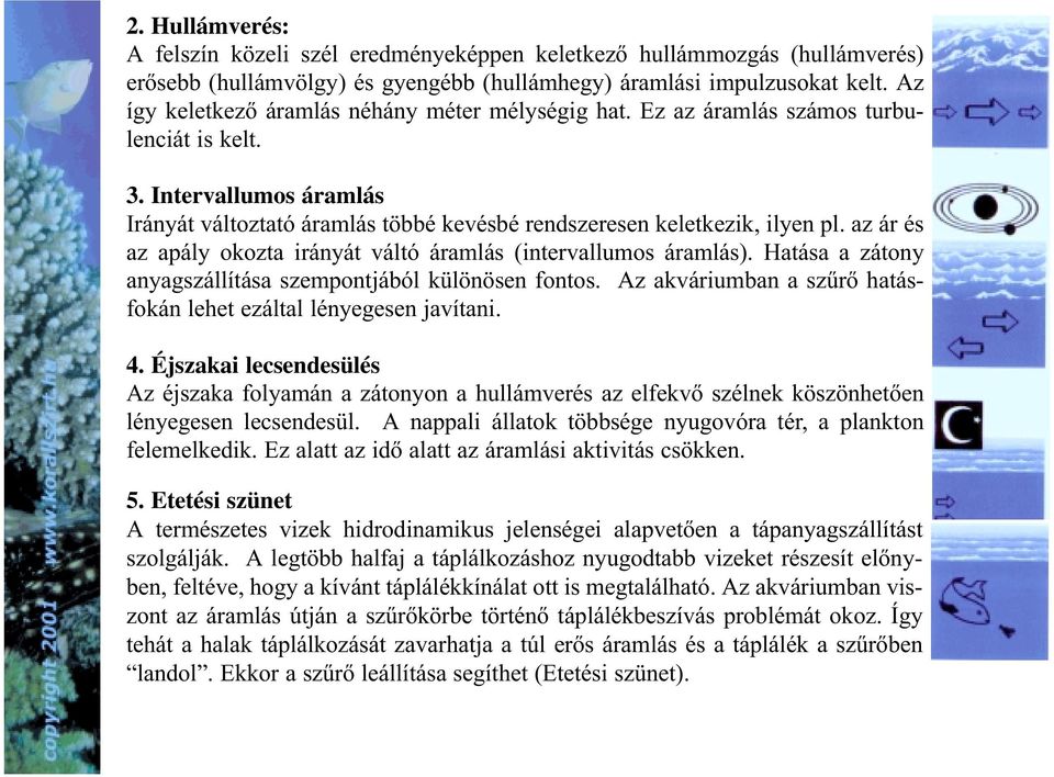 az ár és az apály okozta irányát váltó áramlás (intervallumos áramlás). Hatása a zátony anyagszállítása szempontjából különösen fontos.