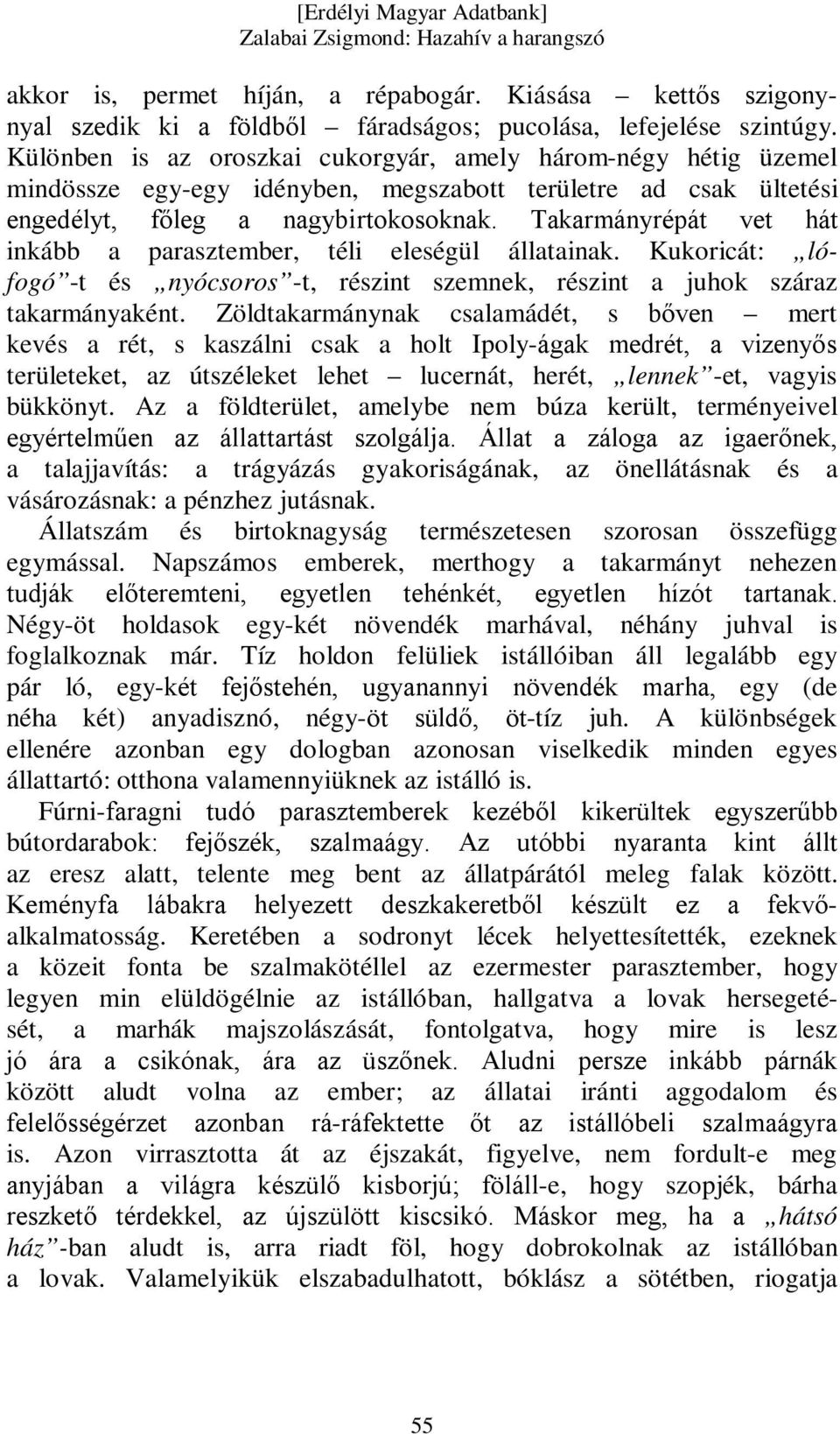 Takarmányrépát vet hát inkább a parasztember, téli eleségül állatainak. Kukoricát: lófogó -t és nyócsoros -t, részint szemnek, részint a juhok száraz takarmányaként.