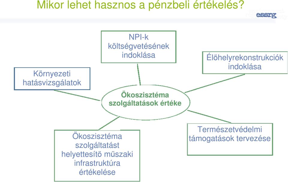 Ökoszisztéma szolgáltatások értéke Élőhelyrekonstrukciók indoklása