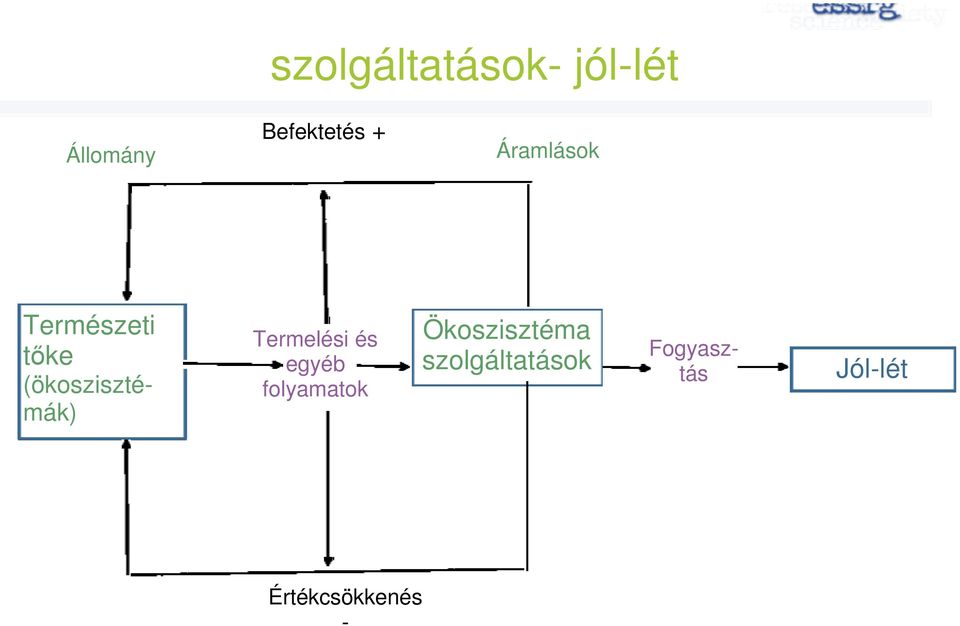 egyéb folyamatok Ökoszisztéma szolgáltatások