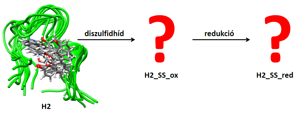 3. Célkitűzés bővítése: H2 származékok vizsgálata Mivel a H5_SS_red stabilitása meglepő eredmény volt, úgy döntöttünk, hogy vizsgálatainkat egy olyan rendszeren folytatjuk, melyen a diszulfidhíd és a