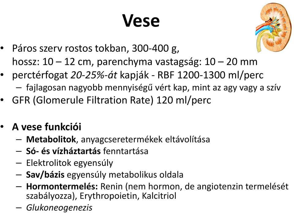 vese funkciói Metabolitok, anyagcseretermékek eltávolítása Só- és vízháztartás fenntartása Elektrolitok egyensúly Sav/bázis