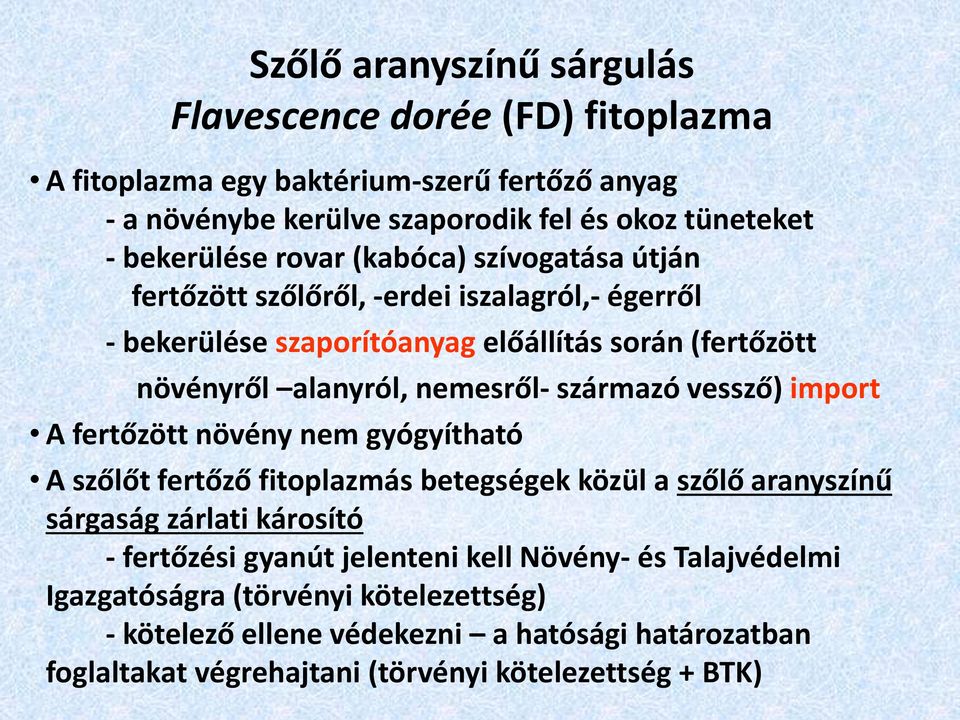 származó vessző) import A fertőzött növény nem gyógyítható A szőlőt fertőző fitoplazmás betegségek közül a szőlő aranyszínű sárgaság zárlati károsító - fertőzési gyanút