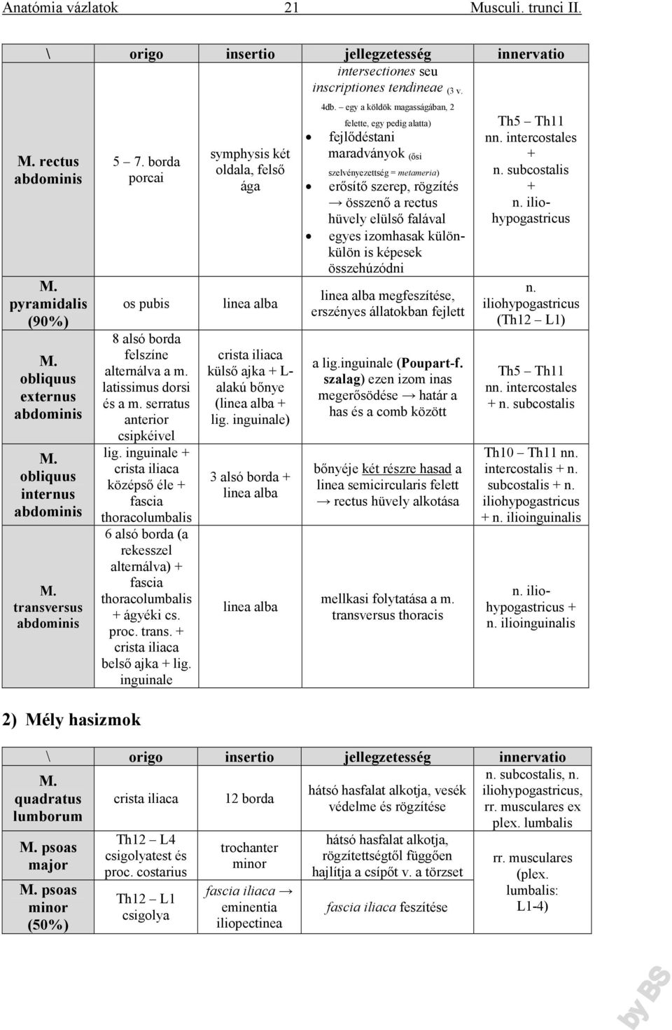 borda porcai os pubis 8 alsó borda felszíne alternálva a m. latissimus dorsi és a m. serratus anterior csipkéivel lig.