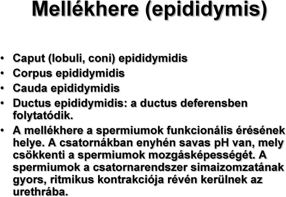 A mellékhere a spermiumok funkcionális érésének helye.