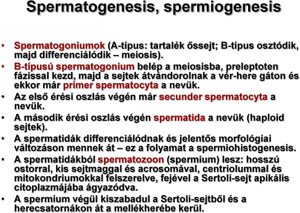 Az első érési oszlás végén már secunder spermatocyta a nevük. A második érési oszlás végén spermatida a nevük (haploid sejtek).