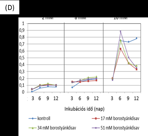 16. ábra: A szerves savak hatása az M539 kultúra összfehérje mennyiségére, különböző tioszulfát koncentrációk mellett A: ecetsav, B: tejsav, C: piroszőlősav, D: borostyánkősav.