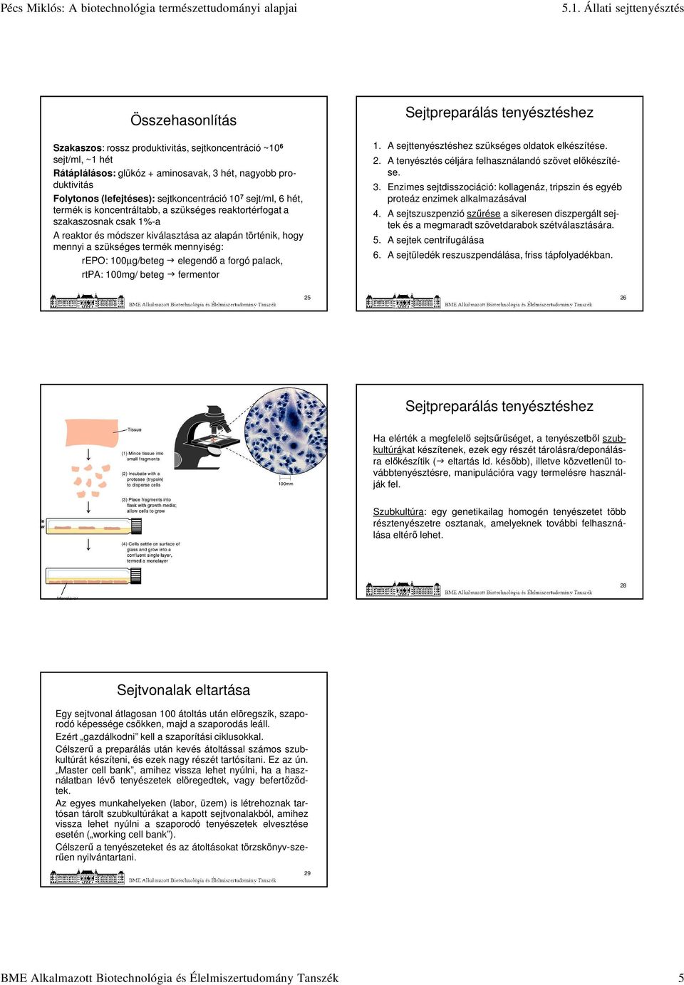 100µg/beteg elegendő a forgó palack, rtpa: 100mg/ beteg fermentor Sejtpreparálás tenyésztéshez 1. A sejttenyésztéshez szükséges oldatok elkészítése. 2.