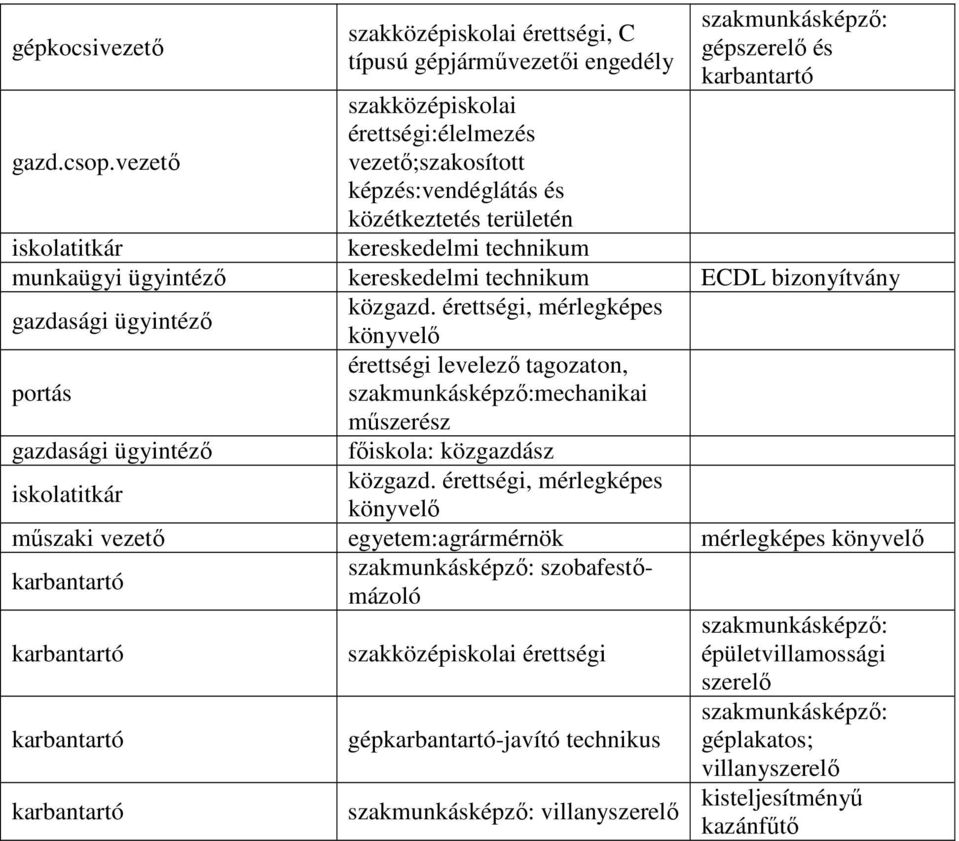 szakmunkásképző: gépszerelő és karbantartó iskolatitkár munkaügyi ügyintéző kereskedelmi technikum ECDL bizonyítvány gazdasági ügyintéző közgazd.