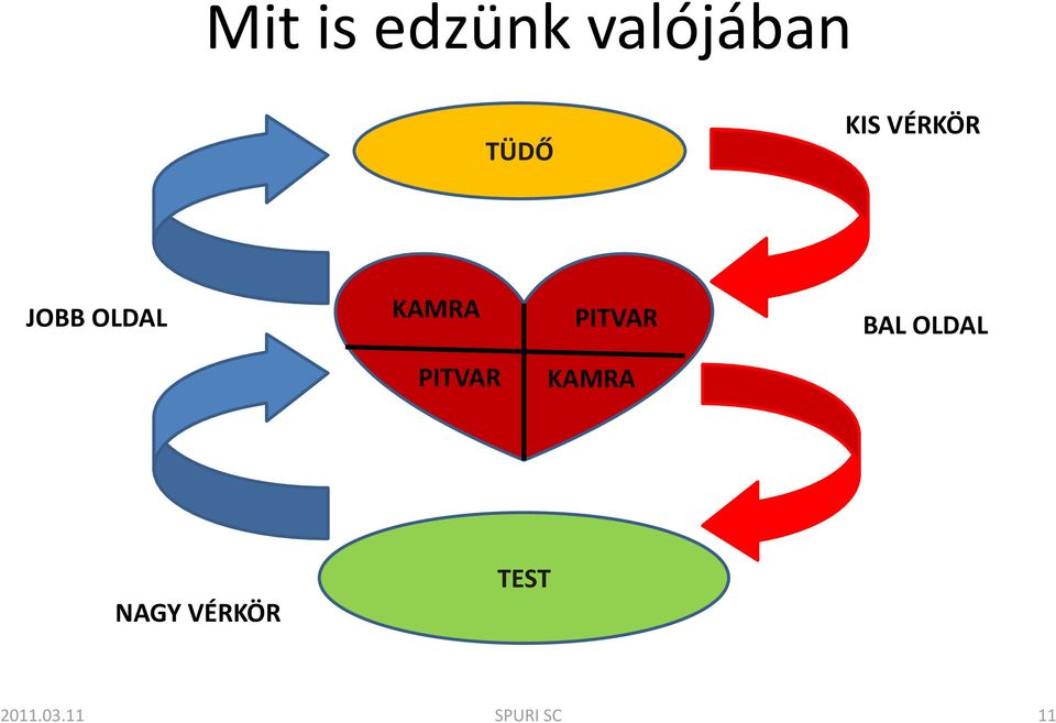 PITVAR BAL OLDAL PITVAR KAMRA