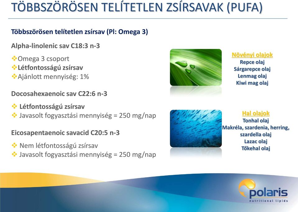 250 mg/nap Eicosapentaenoic savacid C20:5 n-3 Nem létfontosságú zsírsav Javasolt fogyasztási mennyiség = 250 mg/nap Növényi olajok