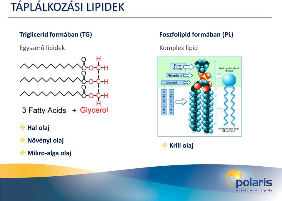 Foszfolipid formában (PL) Komplex