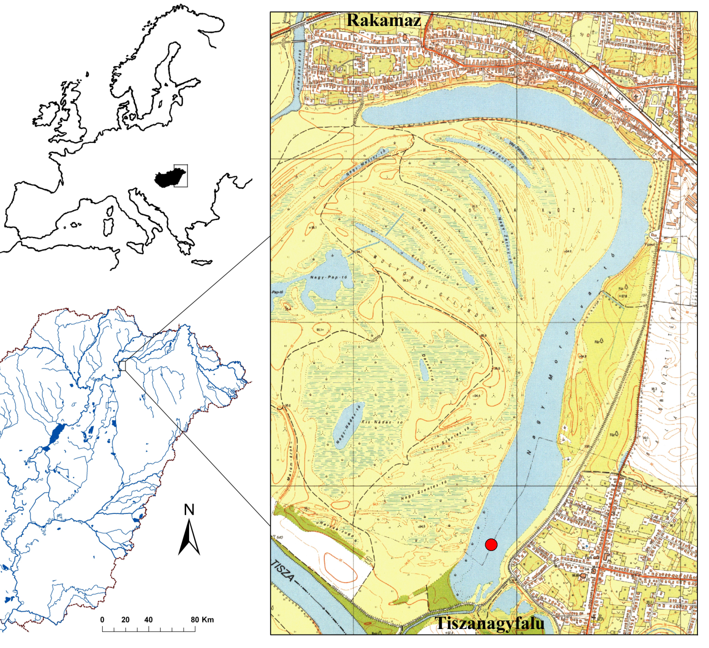 Nyeste et al. / Pisces Hungarici 8 (2014) 83 88 elterjedt a Tisza vízrendszerében (Harka et al. 2003, Harka & Sallai 2004), megjelent a Balaton vízgyűjtőjén (Erős et al. 2008, Harka et al.