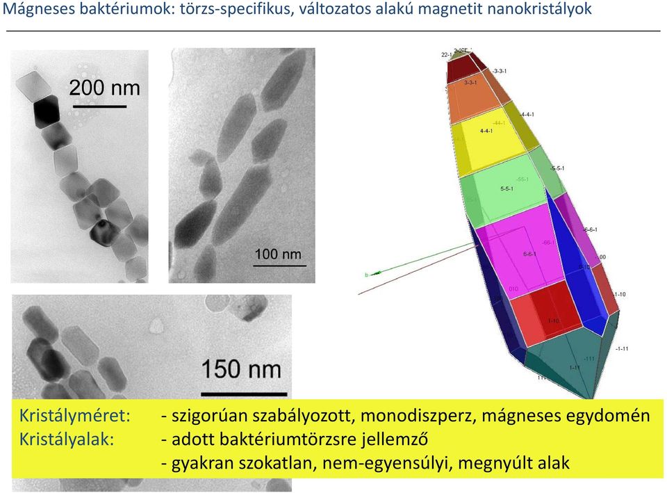 szigorúan szabályozott, monodiszperz, mágneses egydomén -