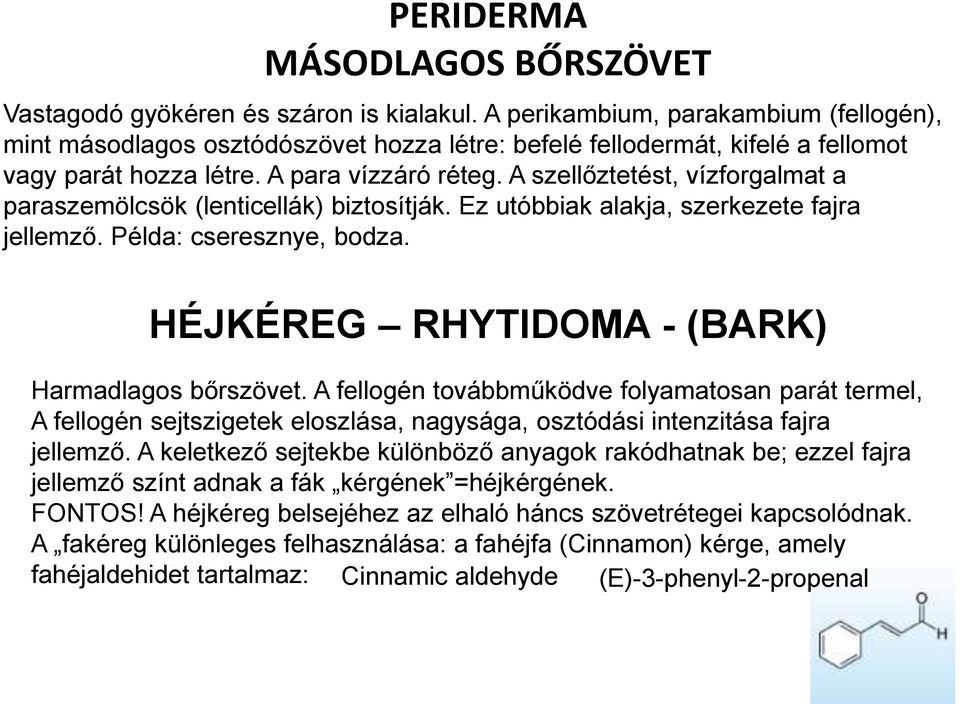 A szellőztetést, vízforgalmat a paraszemölcsök (lenticellák) biztosítják. Ez utóbbiak alakja, szerkezete fajra jellemző. Példa: cseresznye, bodza. HÉJKÉREG RHYTIDOMA - (BARK) Harmadlagos bőrszövet.