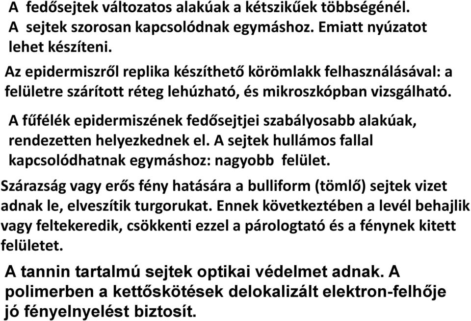 A fűfélék epidermiszének fedősejtjei szabályosabb alakúak, rendezetten helyezkednek el. A sejtek hullámos fallal kapcsolódhatnak egymáshoz: nagyobb felület.