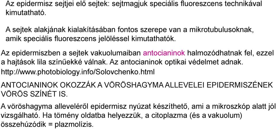 Az epidermiszben a sejtek vakuolumaiban antocianinok halmozódhatnak fel, ezzel a hajtások lila színűekké válnak. Az antocianinok optikai védelmet adnak. http://www.