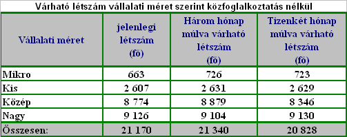 A 380 válaszadó cégek között a legnagyobb arányban a kereskedelem, gépjárműjavítás (22,1%-kal) képviseltette magát, majd a feldolgozóipar következett 20,0%-kal, (76 munkáltató).