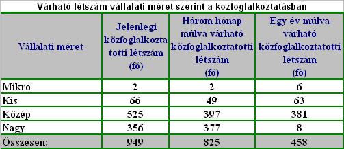 létszámfelvételre látnak esélyt a cégek. Összességében egy év múlva a jelenlegi létszámhoz képest 3,8%-kos csökkenést prognosztizálnak a munkáltatók. II. 3. Az egy év múlva várható tendenciák 7 A Hajdú-Bihar megyében 2014.