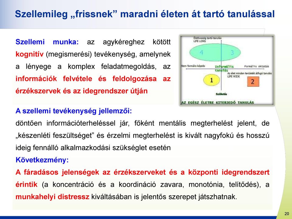 jelent, de készenléti feszültséget és érzelmi megterhelést is kivált nagyfokú és hosszú ideig fennálló alkalmazkodási szükséglet esetén Következmény: A fáradásos jelenségek az