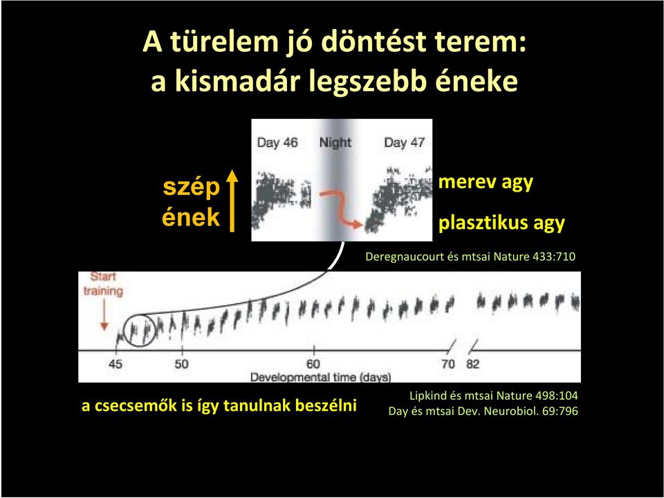 mtsainature 433:710 a csecsemők is így tanulnak beszélni