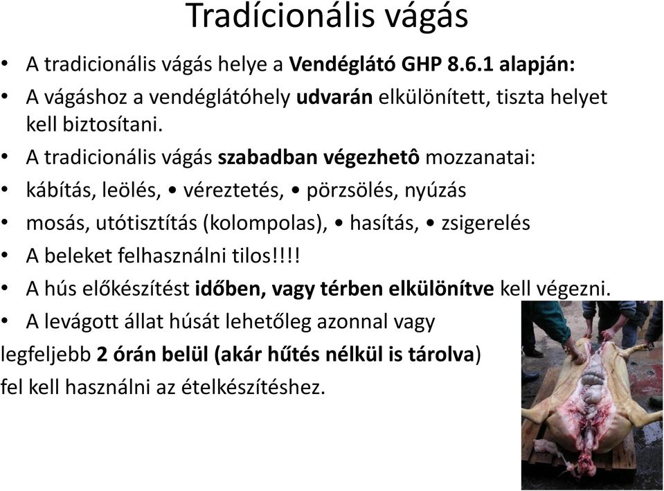 A tradicionális vágás szabadban végezhetô mozzanatai: kábítás, leölés, véreztetés, pörzsölés, nyúzás mosás, utótisztítás (kolompolas),