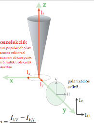 hőmérsékleti sugáráson kívül kibocsát, gűjtőnéven luminescenciának neveük. és Fluorescencia kioltás Biofiika seminárium Ujfalusi Zoltán 2013. február 12-14.