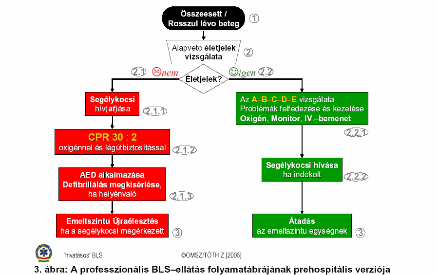 OMSZ BLS PROTOKOLL