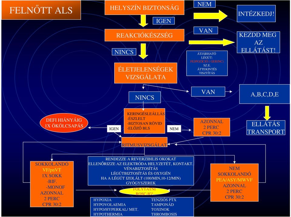 NINCS VAN A,B,C,D,E DEFI HIÁNYÁIG 1X ÖKÖLCSAPÁS IGEN KERINGÉSLEÁLLÁS -ÉSZLELT -BIZTOSAN RÖVID -ELŐZŐ BLS NEM AZONNAL 2 PERC CPR 30:2 ELLÁTÁS TRANSPORT RITMUSVIZSGÁLAT SOKKOLANDÓ VF/pnVT